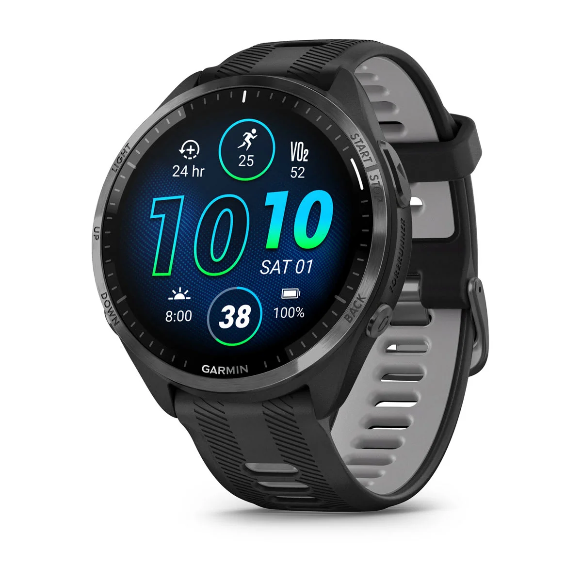 garmin 010 02809 00