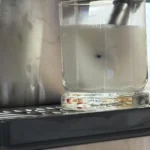 Great espresso machine made me a home barista!