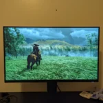 Great for the Price Point