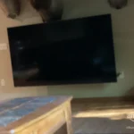 THIS TV WILL NOT LAST! SAVE YOUR MONEY!