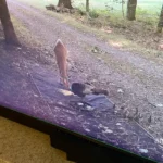 Great for security cam!