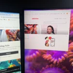 Good starter gaming monitor