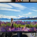 Saturated, Crisp, and Fluid Graphics