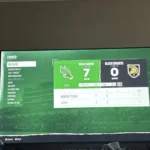 5 stars