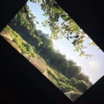 Affordable, Crispy, and Easy to Set up