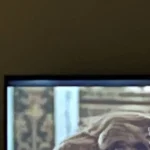 Can be good if you win the QA lottery! I didn’t.