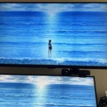 Great Monitor Better Quality