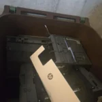 Predatory Capitalism and Gross