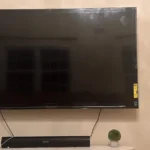 Great bye for the price