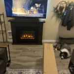 Bravia Sony