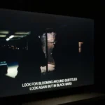 Stunning Picture Quality and Smooth Performance at an Amazing Price