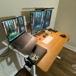 Great monitor for the money