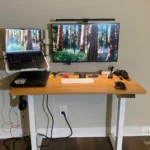 Great monitor for the money