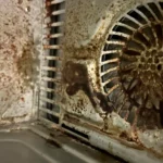 A putrid and rust thing