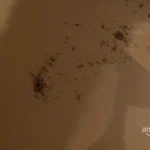 1 star for the condition of the packaging. 4 star for the monitor