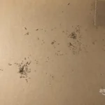 1 star for the condition of the packaging. 4 star for the monitor