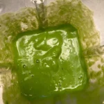 A most worthy evolution for the Vitamix