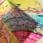 Great printer but initial aggravation likely guaranteed