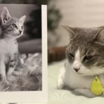 Incredible photo printing quality!