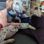 A Print Shop For The Home