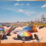 Powerful, Versatile, and Easy to Use