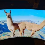 Ambitious and impressive monitor for gaming & more