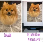 Quality Fast Color Printing