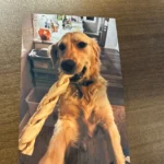 Easy to set up and install