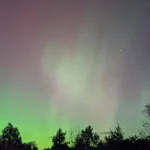 Awesome fun printer at a fair price