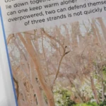 Fantastic, ink-efficient printer!