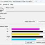 Powerful, Versatile, and Easy to Use