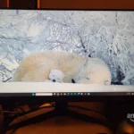 Simple Controls | Good Image Quality | Easy to Assemble