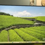 Affordable, satisfied for office tasks