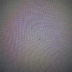 Dead pixels ordered twice