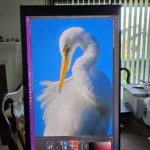 A Photo Editor's Lower Cost Calibrated 5K Dream