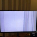 Bought 2 - May 2025 - Both died Jan 26