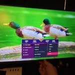 Awesome Picture Quality, Full HD, and Smooth Gaming Experience