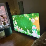 The best of the best