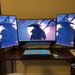 Great Monitors for the Price