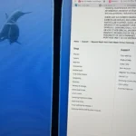 Absolutely do NOT buy this monitor. It will break on you.