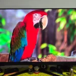 Vibrant Monitor!