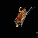 Buttery smooth monitor with stunning image quality!