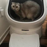 Good for monitoring urinary habits