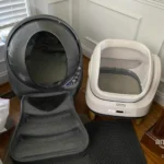 Quite and a Cat Favorite