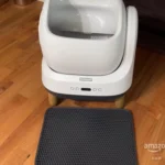 Honestly so worth it!