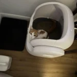 Definitely recommend