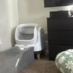 I love this litter box!