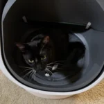 Good litter box