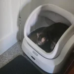 Great device, highly recommended!