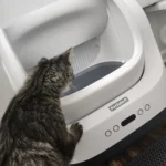 A Game-Changer for Cat Owners!